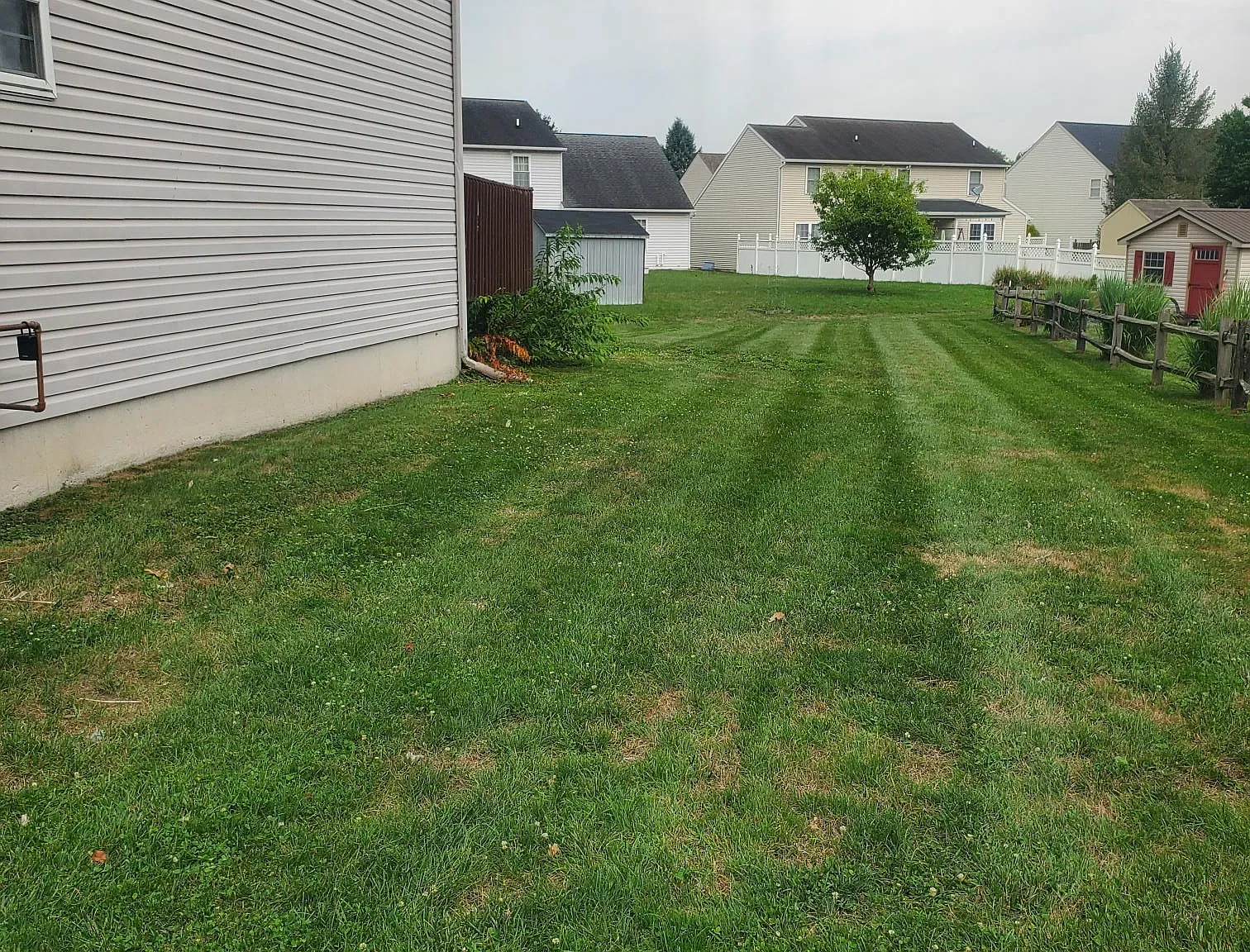 667 Walnut Tree Drive - 1 — Photo 3