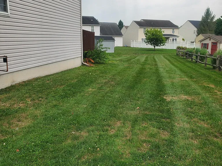 667 Walnut Tree Dr #1 — Photo 3