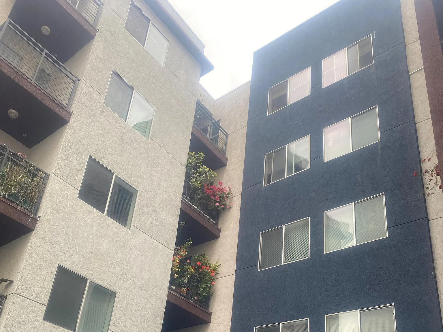 San Lucas Apartments Age 62+ — Photo 1