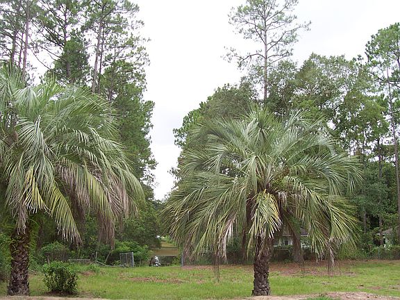 view from porch
