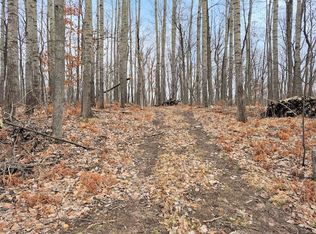 0 0 Town Hall Rd, Springbrook, WI 54875