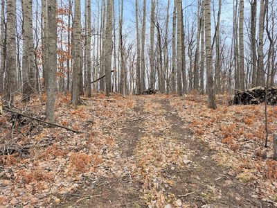 0 Town Hall Road, Springbrook, WI, 54875
