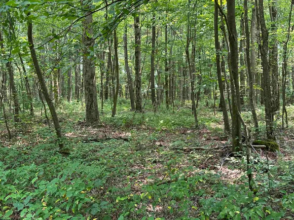 31 Oak Dr, Albright, WV 26519