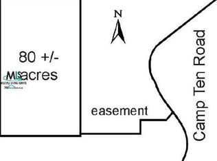 0 Camp Ten Rd, Elmira, MI 49730