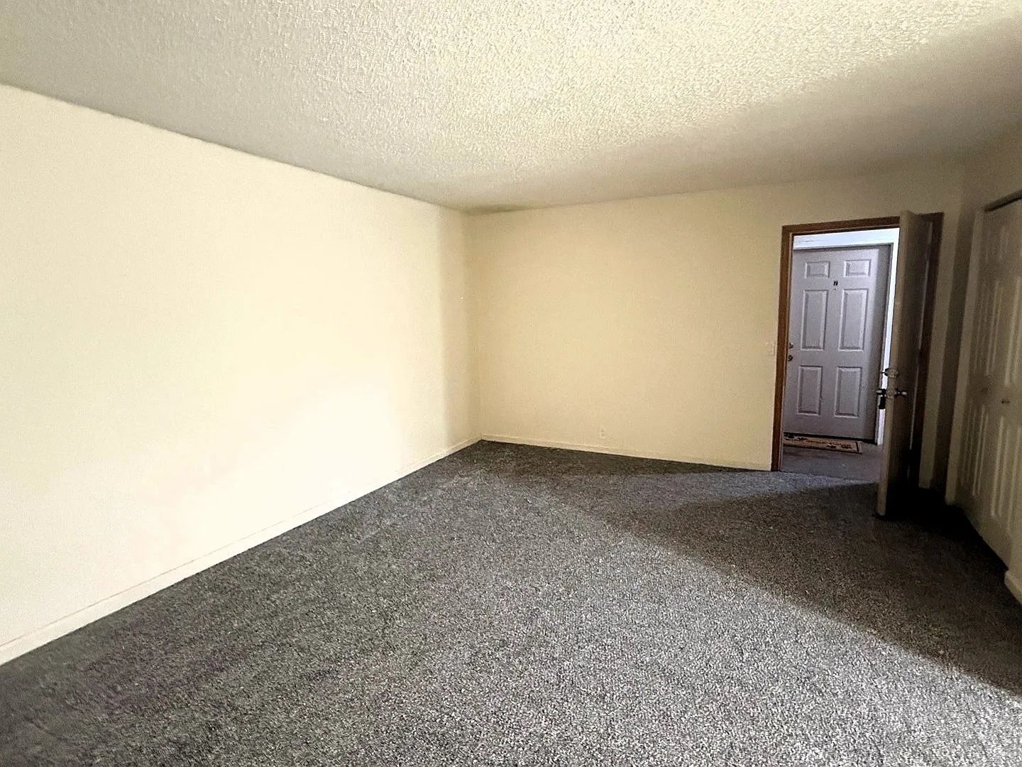 Great Apartment! Perfect Location! — Photo 3