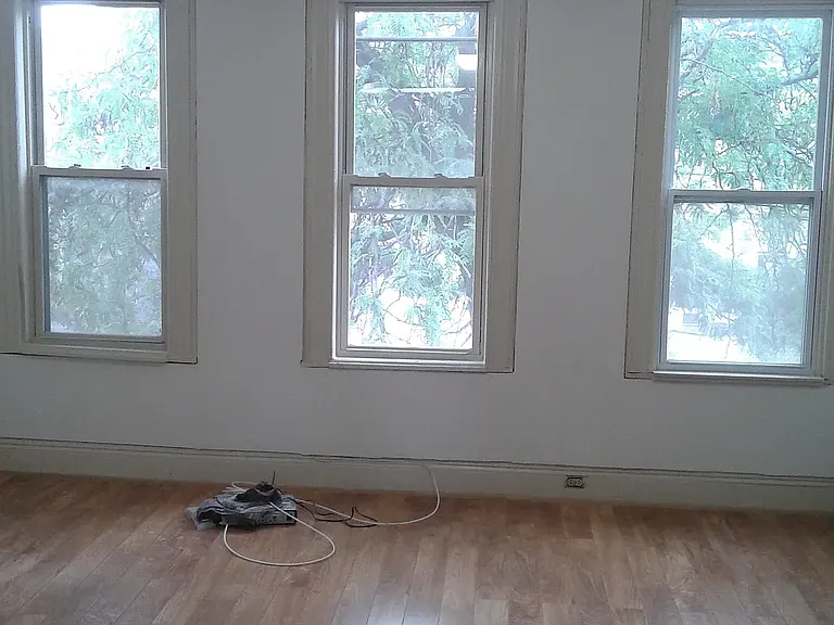 736 E 133rd St #2 — Photo 3