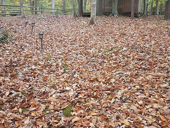 4th image of 52 Sycamore   Syrcle