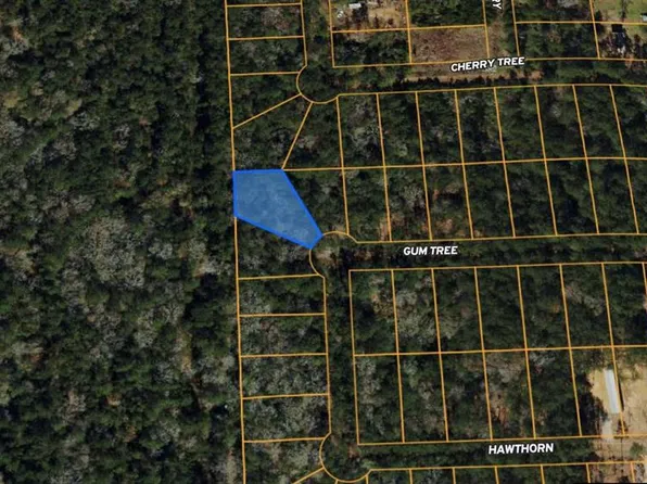 Lot 28 Gum Tree Lane, Plantersville, TX 77363
