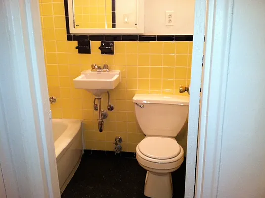 Rented by Eric Goodman Realty Corp | media 10