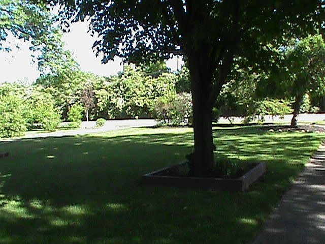 Look at this yard!