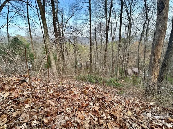 LOT 6 Biltmore Cir, Bryson City, NC 28713