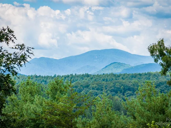 1711 Pisgah Preserve Dr #75, Nebo, NC 28761