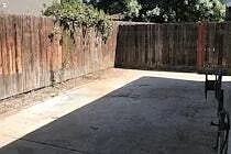 Gowdy - 1 — Photo 4