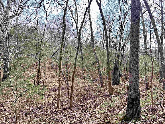 5th image of (Undisclosed Address)