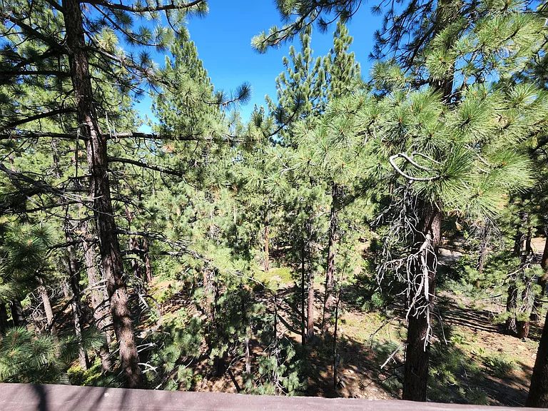 Upper Deck View