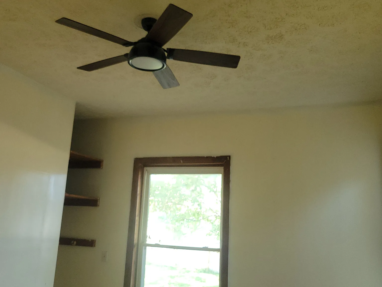 3 bed, 1800 sqft, $1,590 — Photo 4