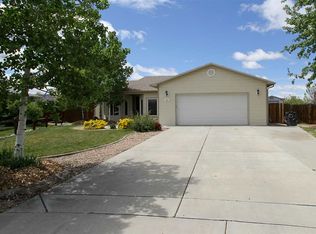 261 Ribbon Ct, Fruita, CO 81521