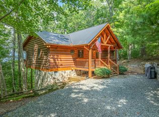 107 Little Bushy Head Rd, Blue Ridge, GA 30513
