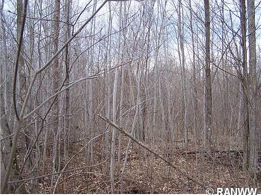 2nd image of 0 W Hwy W