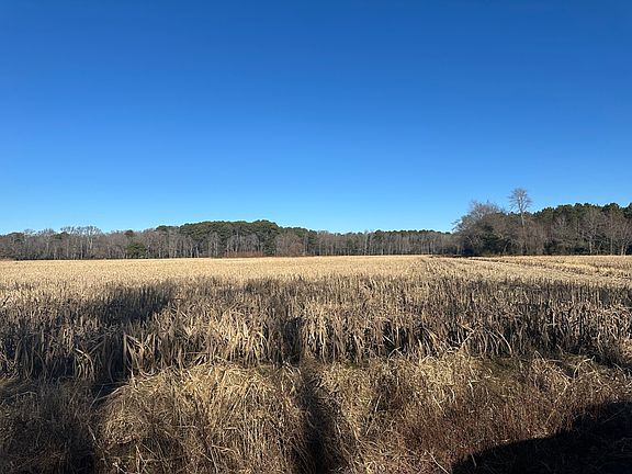 2nd image of 0 Bivalve Lodge Rd