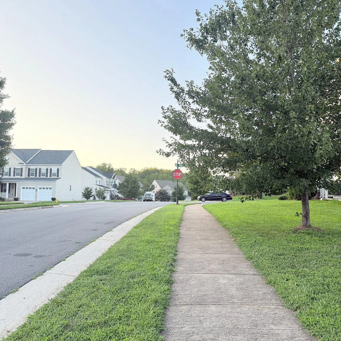 1 bed, 1.0 bath, 1408 sqft, $1,800 — Photo 2