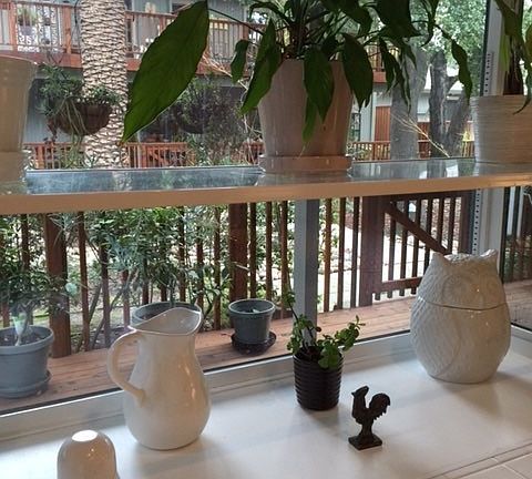 Garden window ...