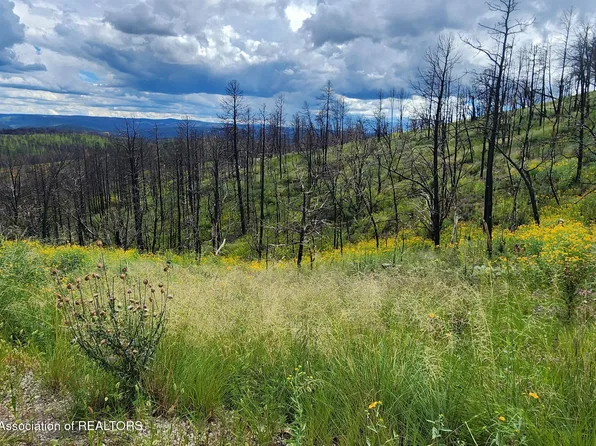 108 Big Pines Pl, Ruidoso, NM 88345