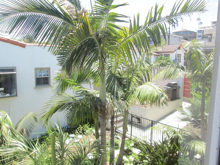View from Living Room