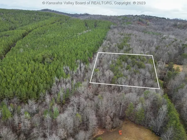 0 Grieves Run, Elizabeth, WV 26143