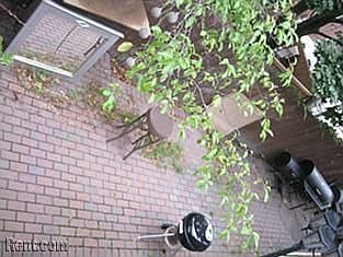 One floor of Backyard