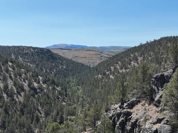 Tl 300 McCoy Crk, Diamond, OR 97722