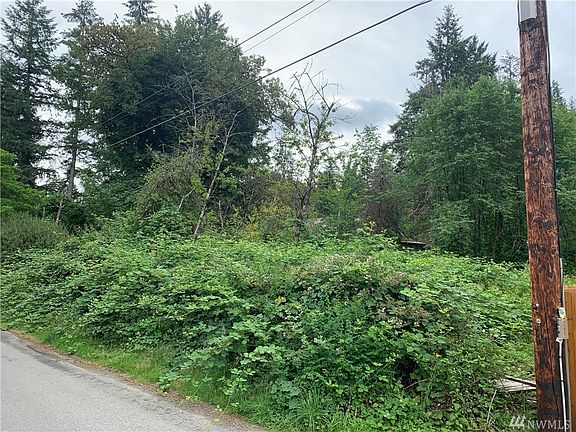 View from right right property corner, looking towards structure. The vast majority of this land is flat and just needs to be cleared to suit your needs!