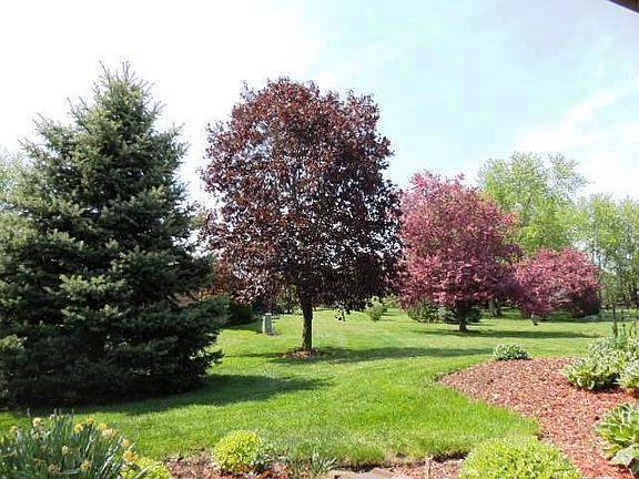 4th image of 5065 Valley Pines Dr