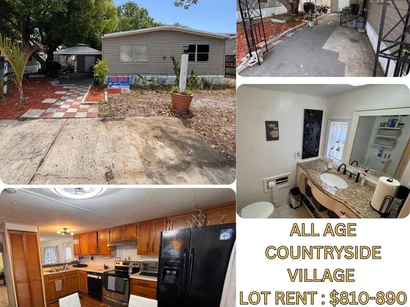 9521 Barnside Pl, Tampa, FL 33635