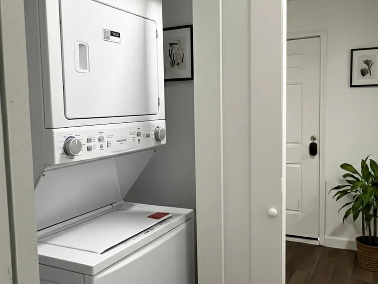 Laundry room and cleaning closet