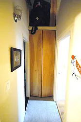 Rented by Bold New York