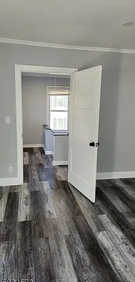 358 Woodland Rd #2 — Photo 28