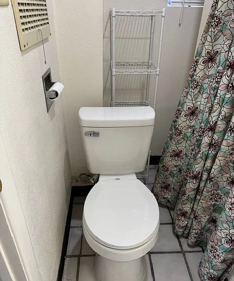 New toilet and storage shelf