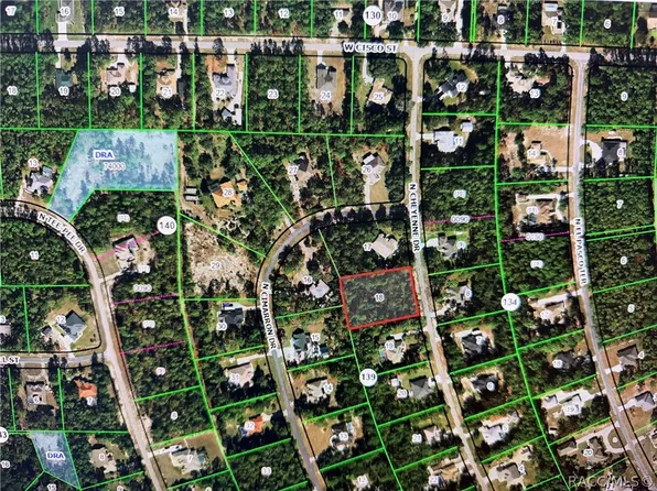 5272 N Cheyenne Dr, Beverly Hills, FL 34465