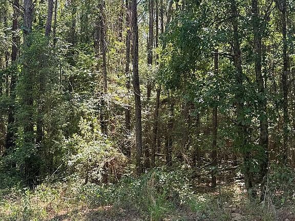 3rd image of 0 Appian Way