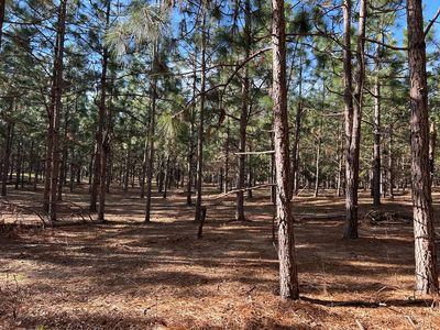3 Ac Cty Rd #18, Headland, AL, 36345