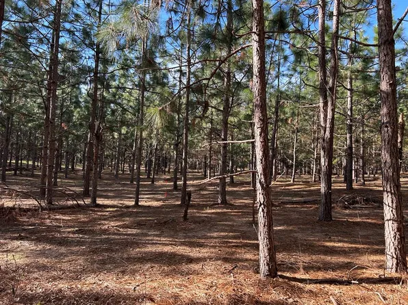 3 Ac Cty Rd #18, Headland, AL 36345