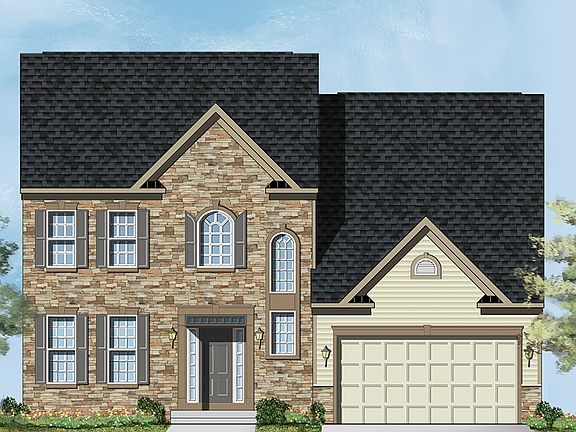 Elevation Image 3.