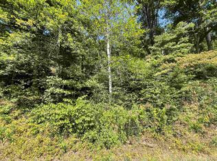 0 Fort Gay Rd, Fort Gay, WV 25514