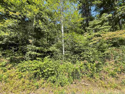 0 Fort Gay Rd, Fort Gay, WV, 25514