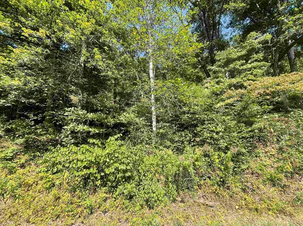 0 Fort Gay Rd, Fort Gay, WV 25514