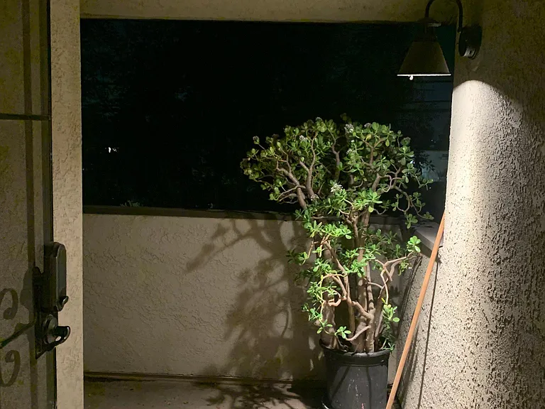 4424 San Jose St — Photo 9