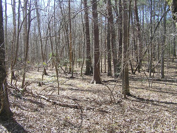 4th image of 150 Dell Ln