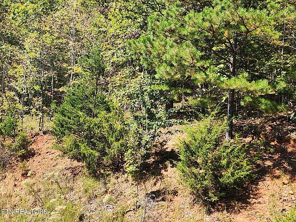 5th image of 609 Chimney Rock Rd