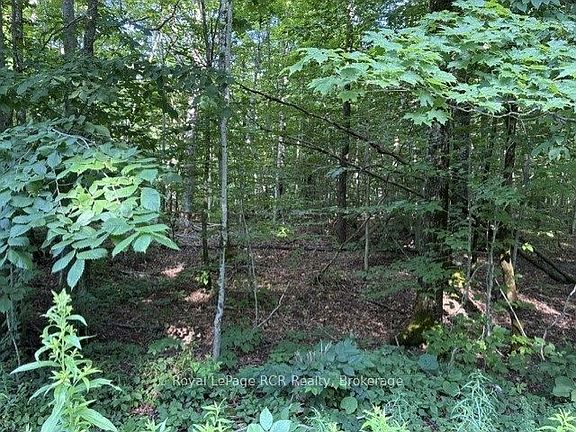 2nd image of Connell Lake Rd Lot 26